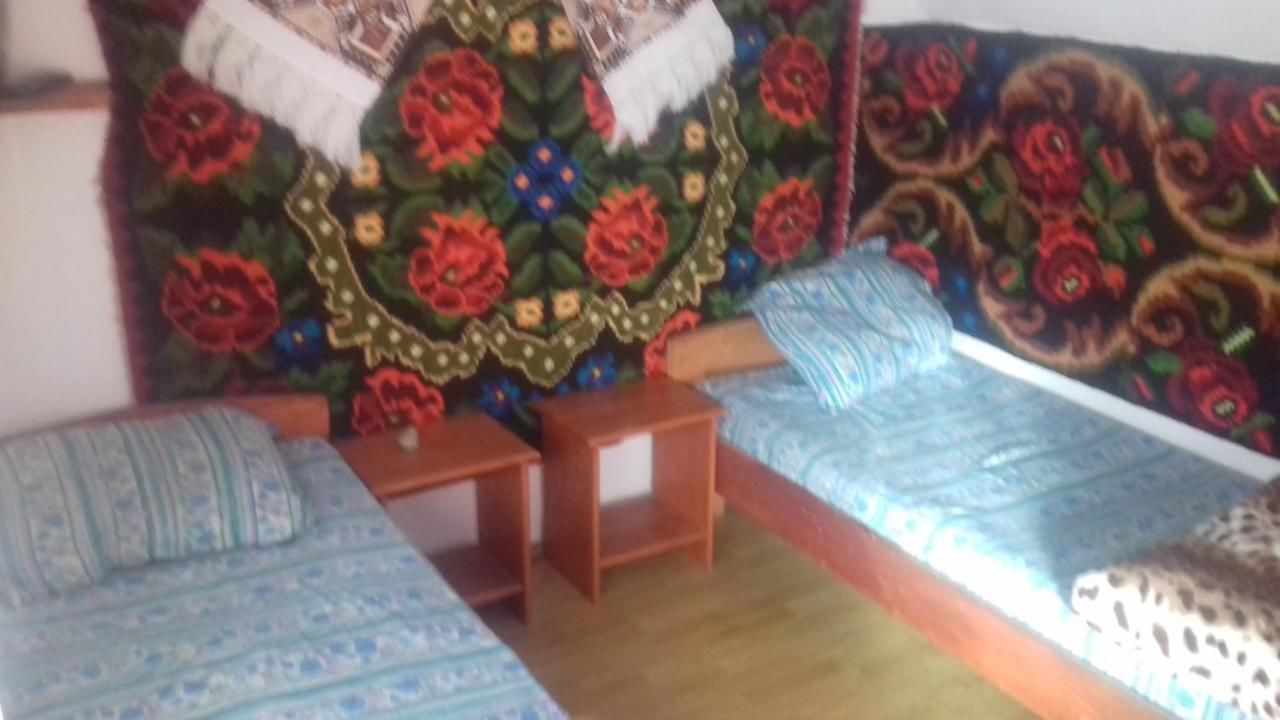 Отели типа «постель и завтрак» Pensiunea Dorulet Lunca Ilvei-17
