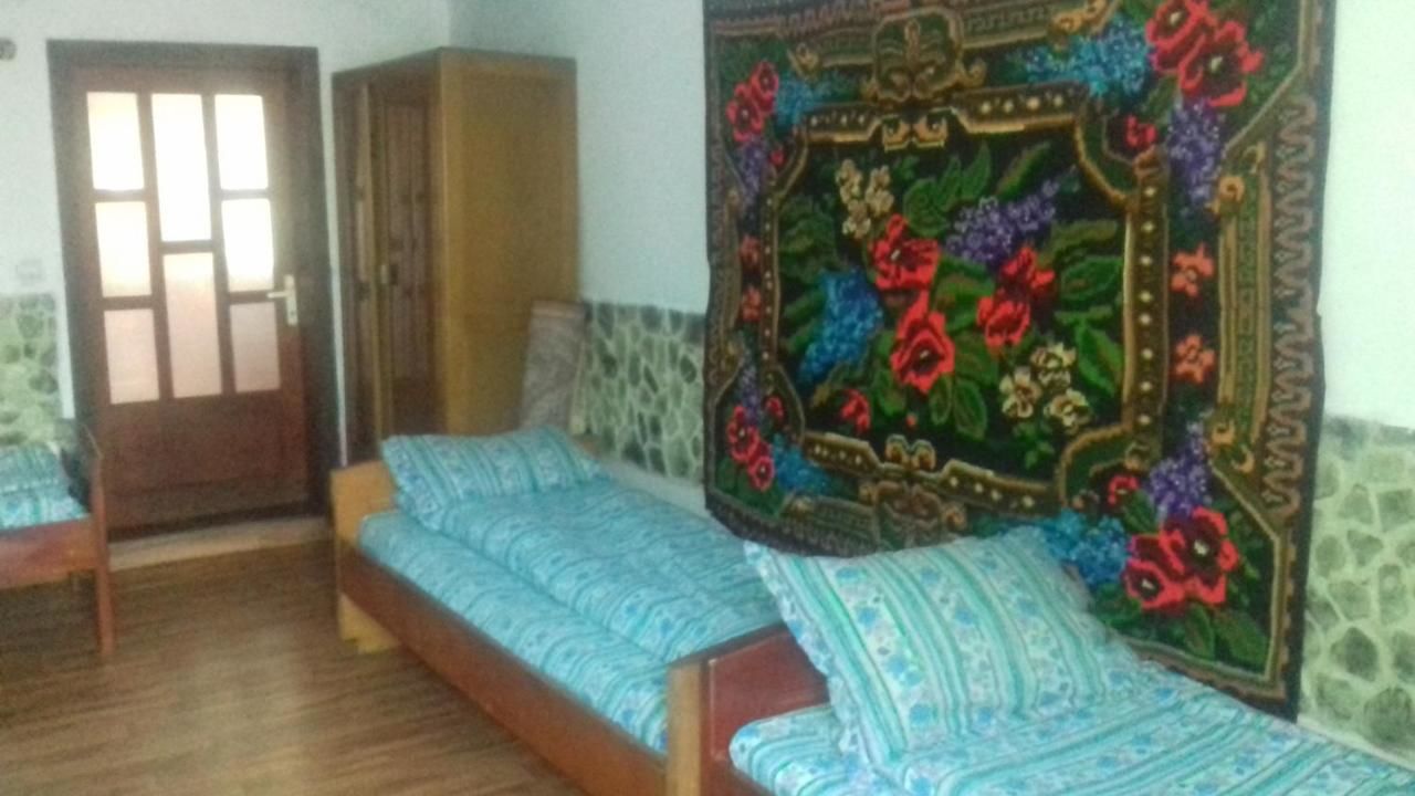Отели типа «постель и завтрак» Pensiunea Dorulet Lunca Ilvei-5