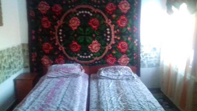 Отели типа «постель и завтрак» Pensiunea Dorulet Lunca Ilvei-14